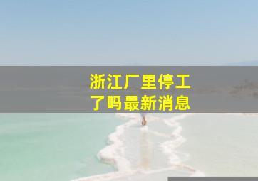 浙江厂里停工了吗最新消息