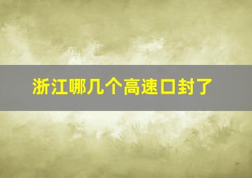 浙江哪几个高速口封了