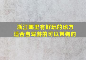 浙江哪里有好玩的地方适合自驾游的可以带狗的