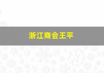 浙江商会王平