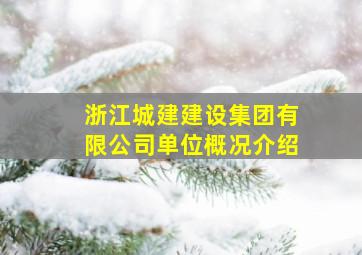 浙江城建建设集团有限公司单位概况介绍