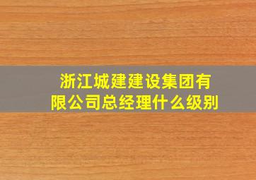 浙江城建建设集团有限公司总经理什么级别