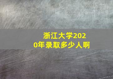 浙江大学2020年录取多少人啊