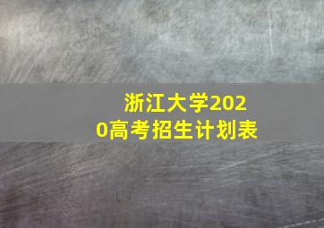 浙江大学2020高考招生计划表