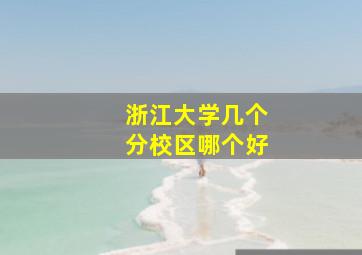 浙江大学几个分校区哪个好