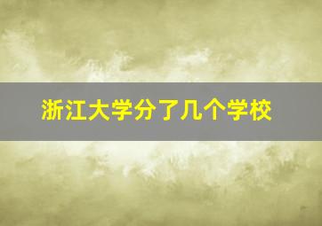 浙江大学分了几个学校