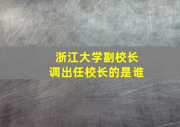 浙江大学副校长调出任校长的是谁