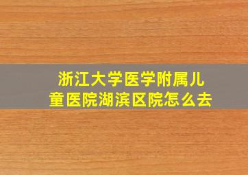 浙江大学医学附属儿童医院湖滨区院怎么去