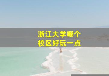 浙江大学哪个校区好玩一点