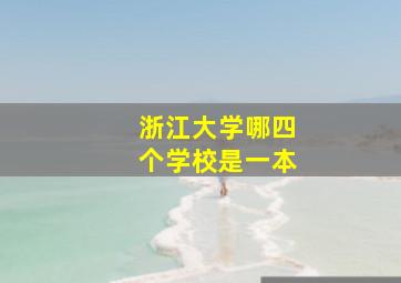 浙江大学哪四个学校是一本