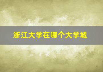 浙江大学在哪个大学城