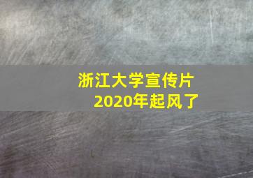 浙江大学宣传片2020年起风了