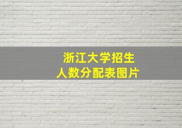 浙江大学招生人数分配表图片