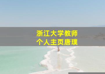 浙江大学教师个人主页唐璞