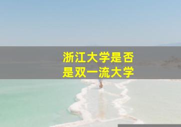 浙江大学是否是双一流大学