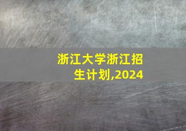 浙江大学浙江招生计划,2024