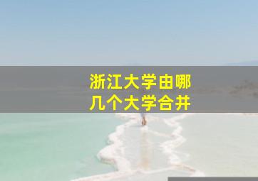 浙江大学由哪几个大学合并