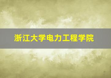 浙江大学电力工程学院