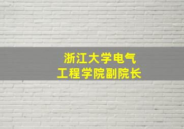 浙江大学电气工程学院副院长