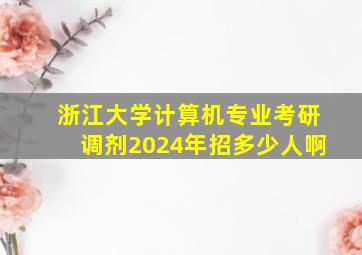 浙江大学计算机专业考研调剂2024年招多少人啊