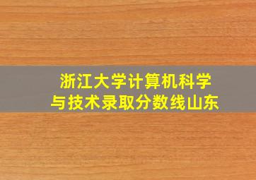 浙江大学计算机科学与技术录取分数线山东