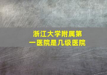 浙江大学附属第一医院是几级医院