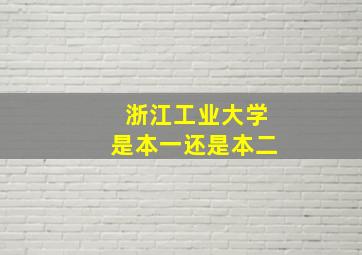 浙江工业大学是本一还是本二