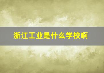 浙江工业是什么学校啊