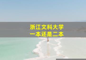 浙江文科大学一本还是二本