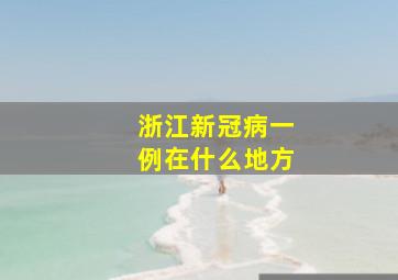 浙江新冠病一例在什么地方