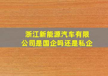 浙江新能源汽车有限公司是国企吗还是私企