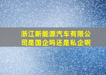 浙江新能源汽车有限公司是国企吗还是私企啊