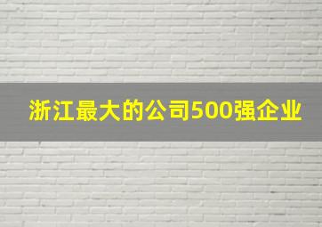 浙江最大的公司500强企业