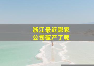 浙江最近哪家公司破产了呢