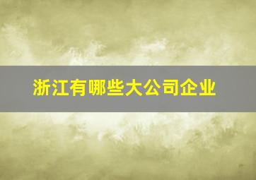 浙江有哪些大公司企业