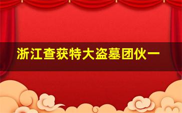 浙江查获特大盗墓团伙一