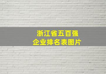 浙江省五百强企业排名表图片