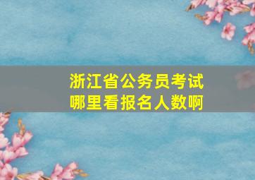 浙江省公务员考试哪里看报名人数啊