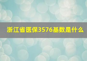 浙江省医保3576基数是什么