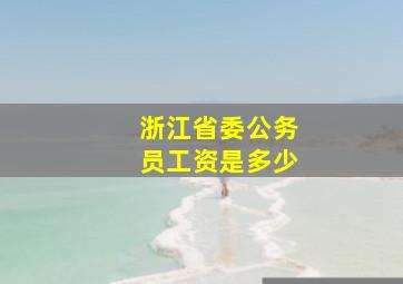 浙江省委公务员工资是多少