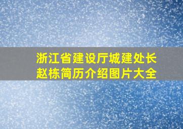 浙江省建设厅城建处长赵栋简历介绍图片大全