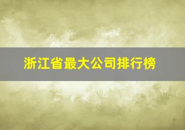 浙江省最大公司排行榜