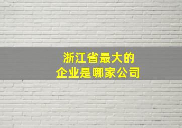 浙江省最大的企业是哪家公司