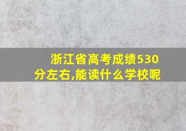 浙江省高考成绩530分左右,能读什么学校呢