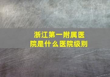 浙江第一附属医院是什么医院级别