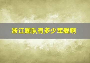 浙江舰队有多少军舰啊