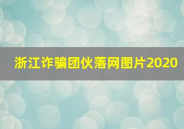 浙江诈骗团伙落网图片2020