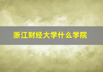 浙江财经大学什么学院