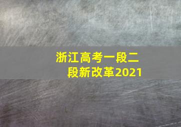 浙江高考一段二段新改革2021