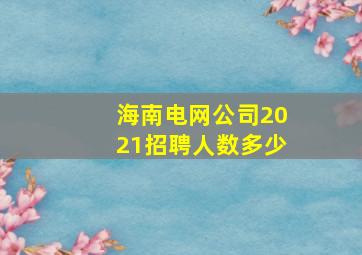 海南电网公司2021招聘人数多少